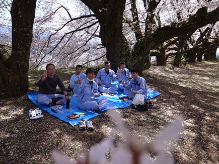 イメージ 19