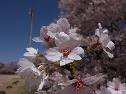 イメージ 9