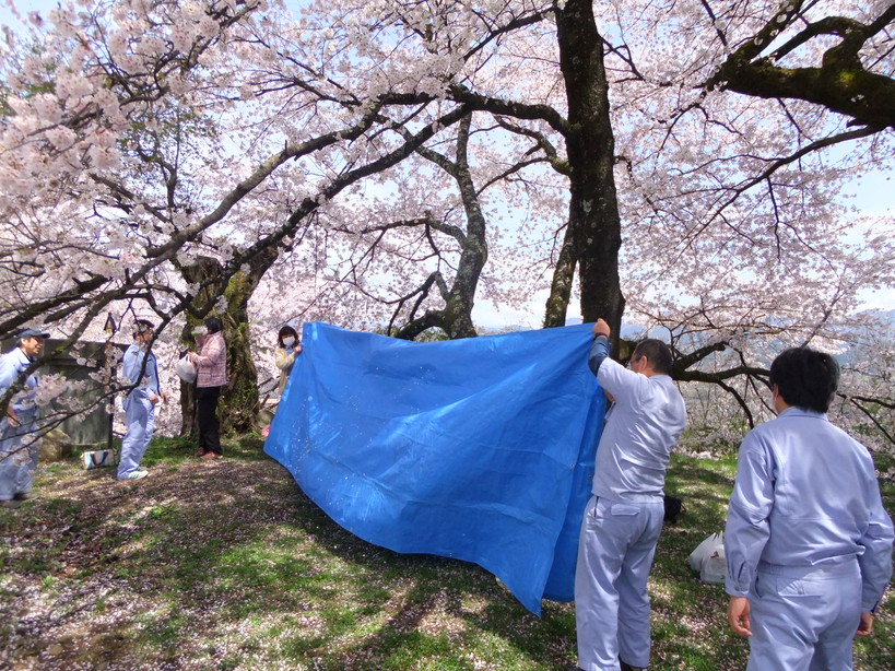 イメージ 8