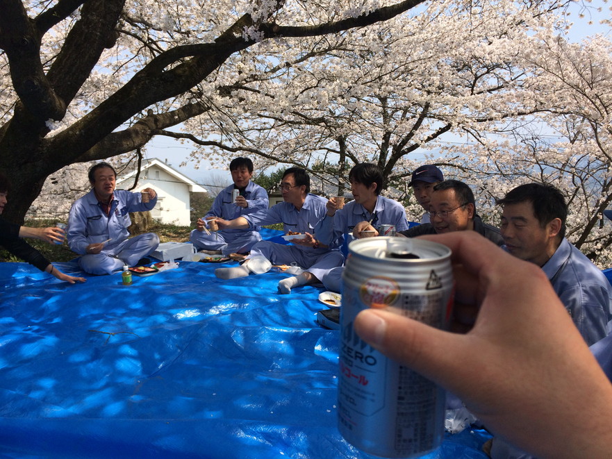 イメージ 5