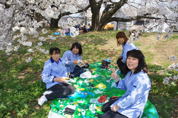イメージ 7