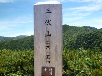 イメージ 22