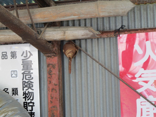 イメージ 2