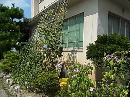 イメージ 1