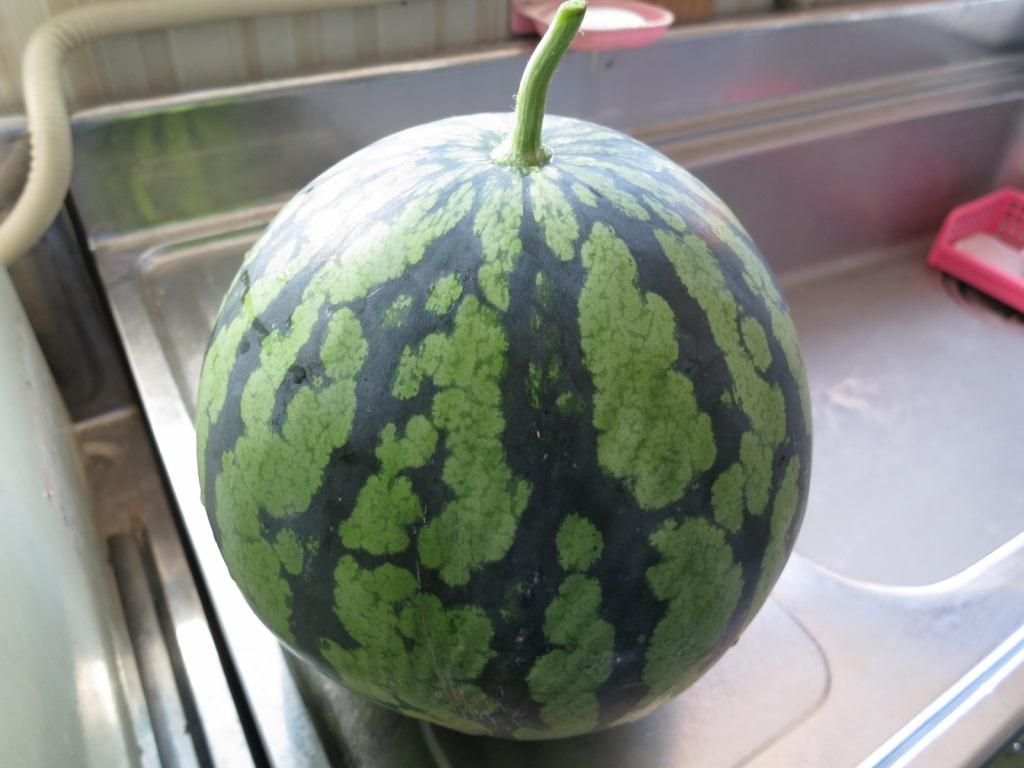 イメージ 6