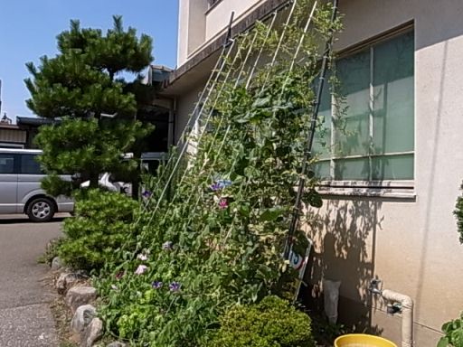 イメージ 1