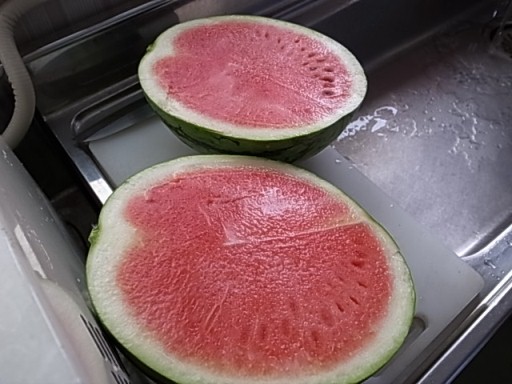 イメージ 7