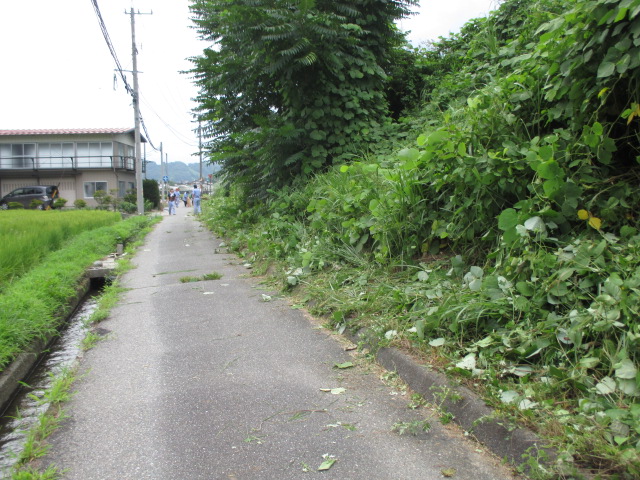 イメージ 18