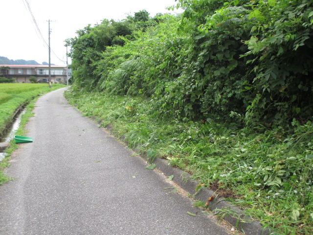 イメージ 34