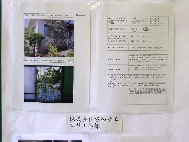 イメージ 4