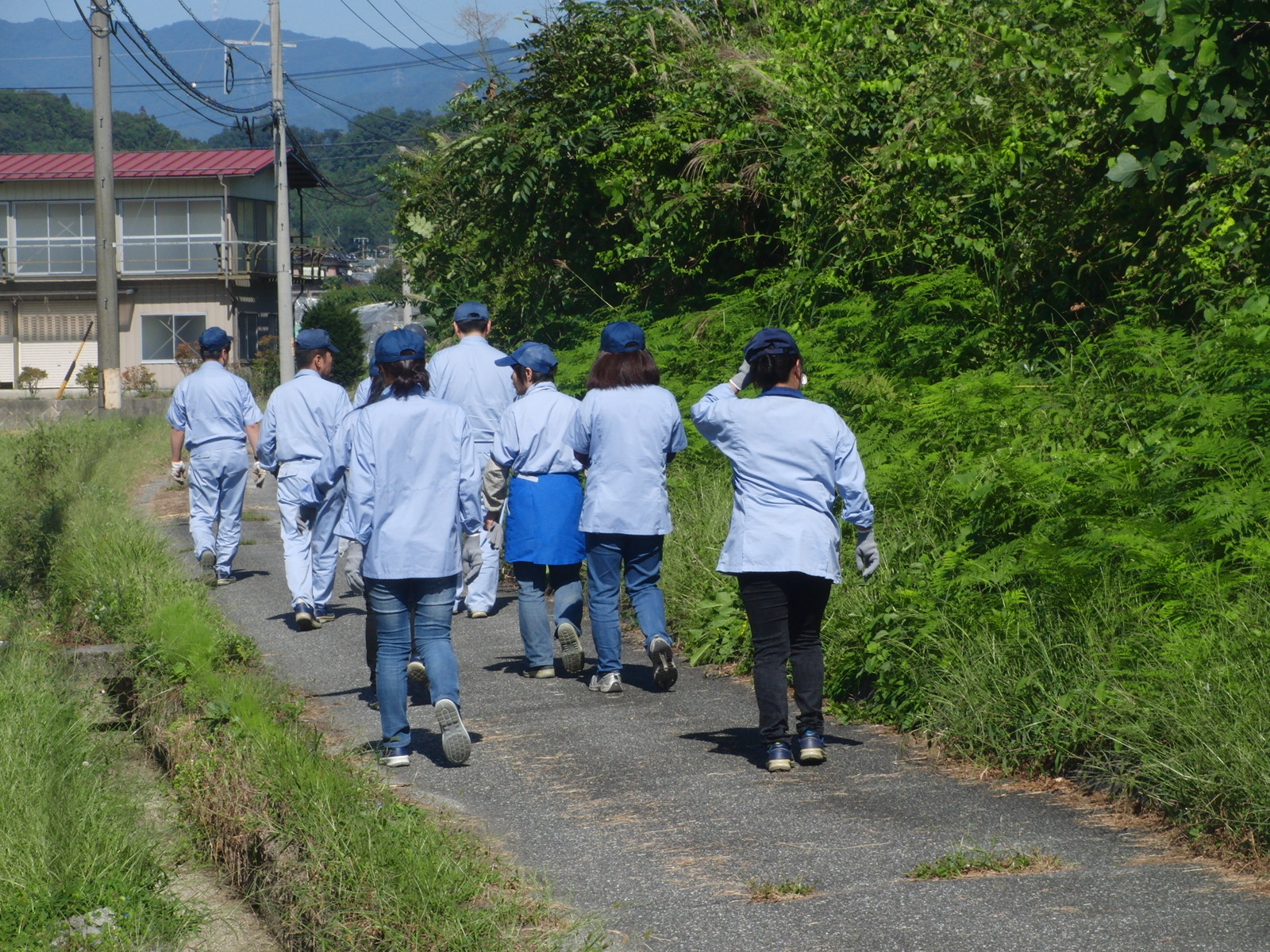 イメージ 14
